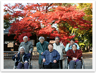 11月 紅葉ドライブ